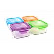Wean Green Lunch Cubes Baby Food Containers - Multi-Color Garden 4 Pack Featuring Grape