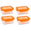 Wean Green Meal Tub Glass Food Storage Containers - Carrot Set of 4
