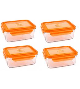 Wean Green Meal Tub Glass Food Storage Containers - Carrot Set of 4